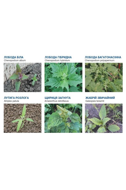 Дикамба Форте